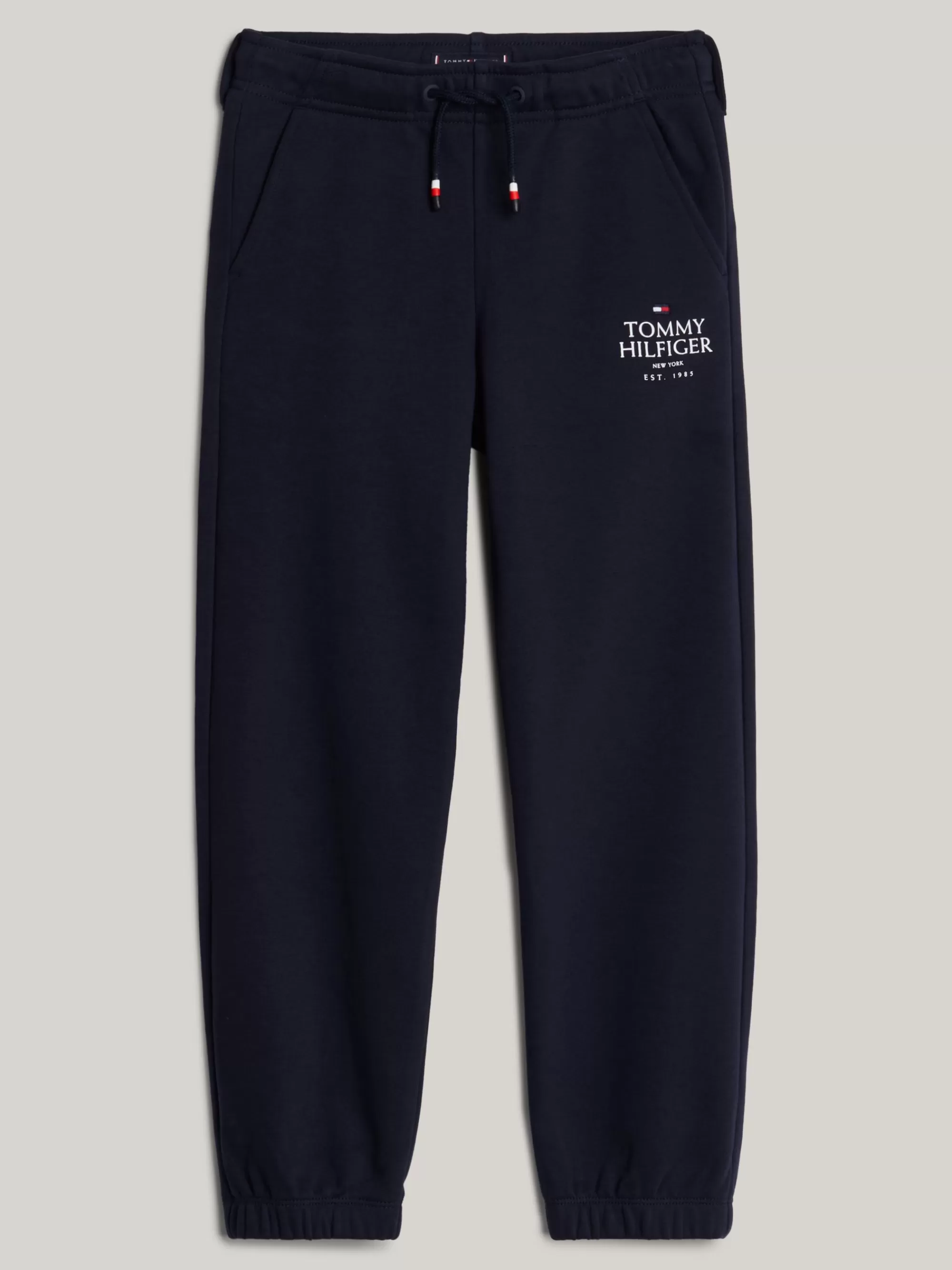 Broeken & Korte Broeken*Tommy Hilfiger Adaptive Jogger Met Geborduurd Logo DESERT SKY