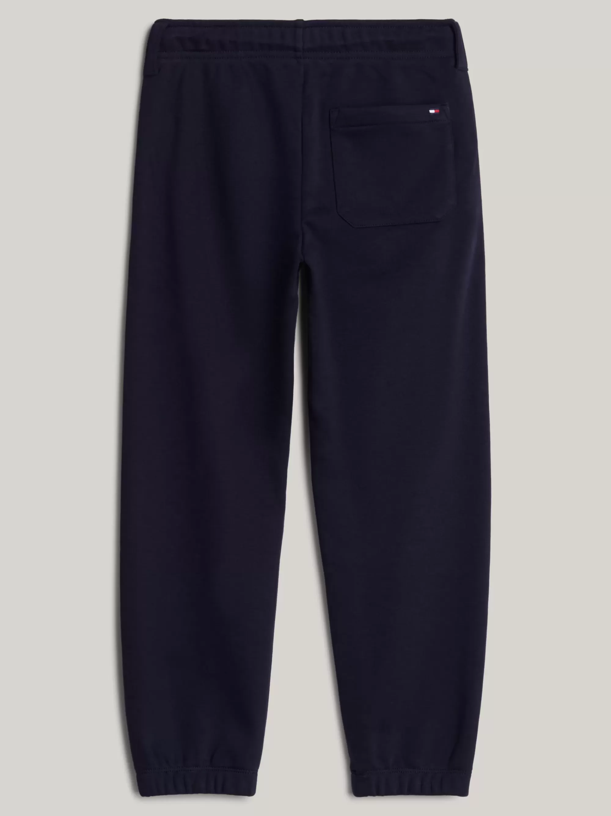 Broeken & Korte Broeken*Tommy Hilfiger Adaptive Jogger Met Geborduurd Logo DESERT SKY