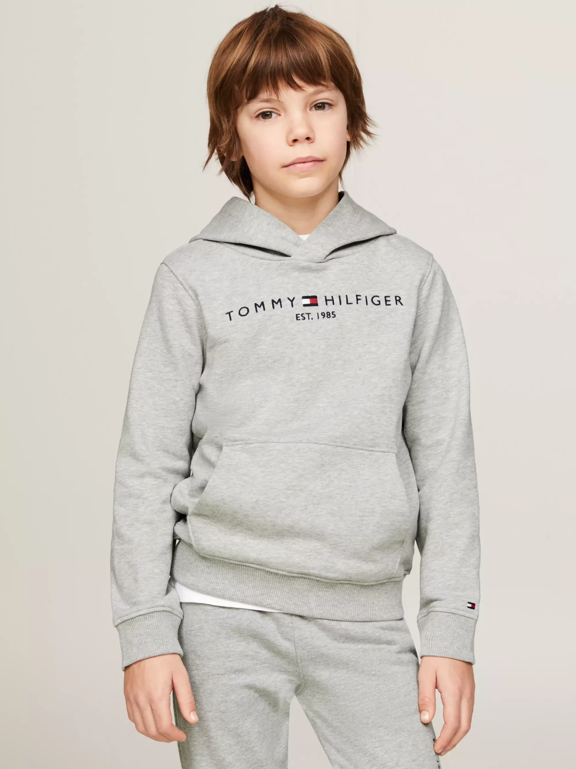Sweatshirts & Hoodies | Sweatshirts & Hoodies*Tommy Hilfiger Essential Hoodie Van Puur Katoen LIGHT GREY HEATHER