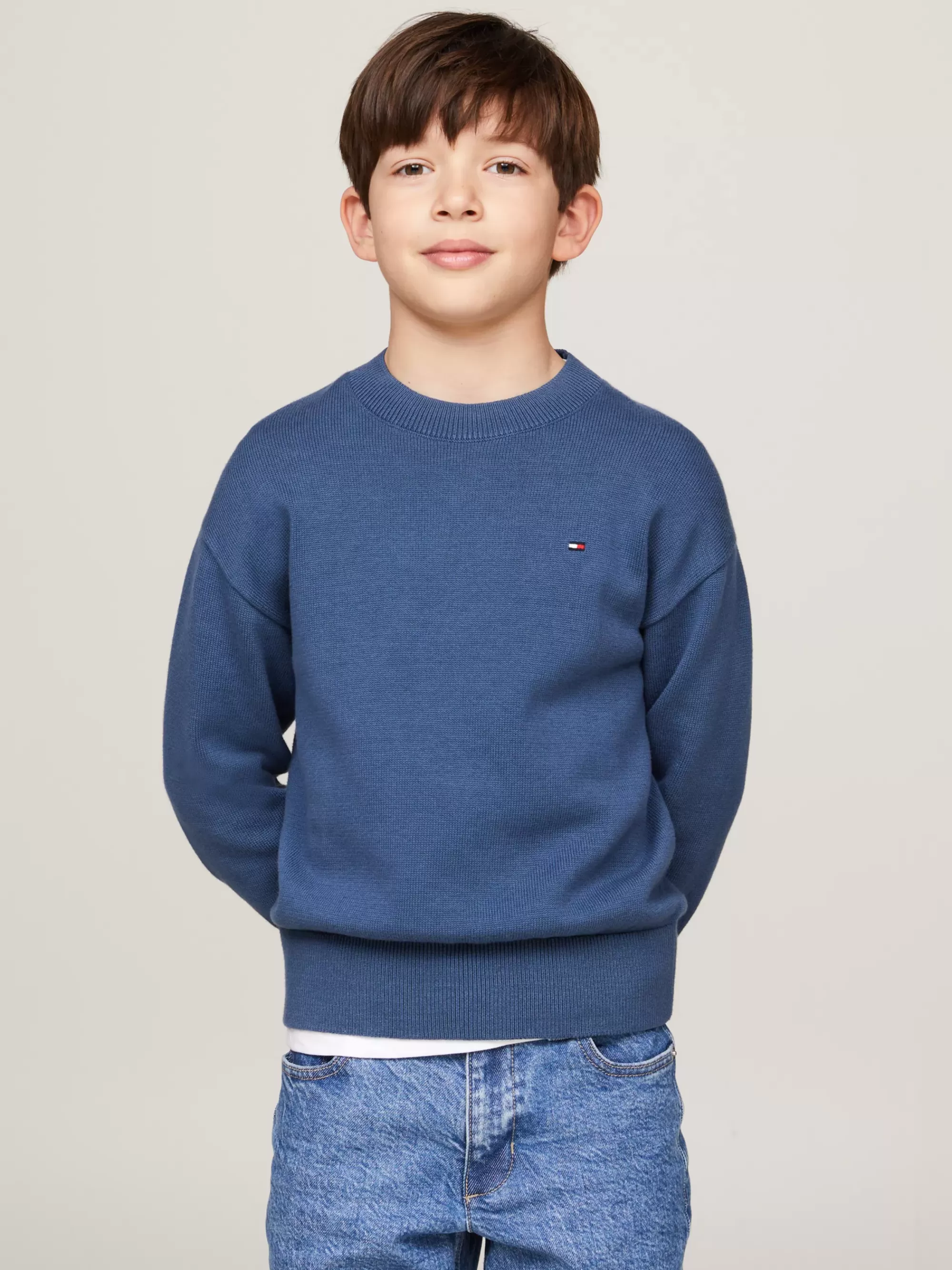 Truien & Vesten*Tommy Hilfiger Essential Trui Met Geborduurde Vlag AEGEAN SEA
