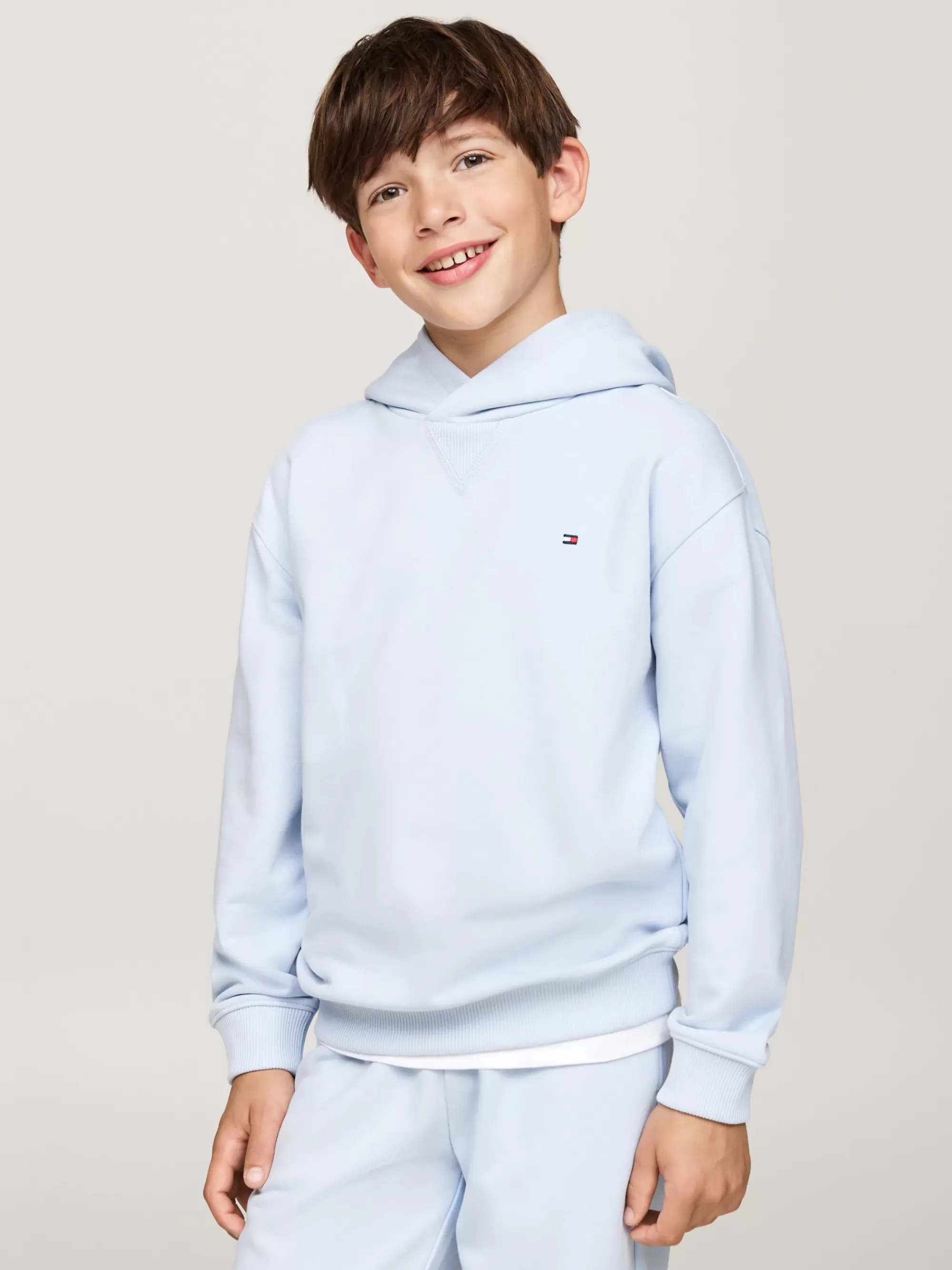 Sweatshirts & Hoodies | Sweatshirts & Hoodies*Tommy Hilfiger Hoodie Met Geborduurde Vlag BREEZY BLUE