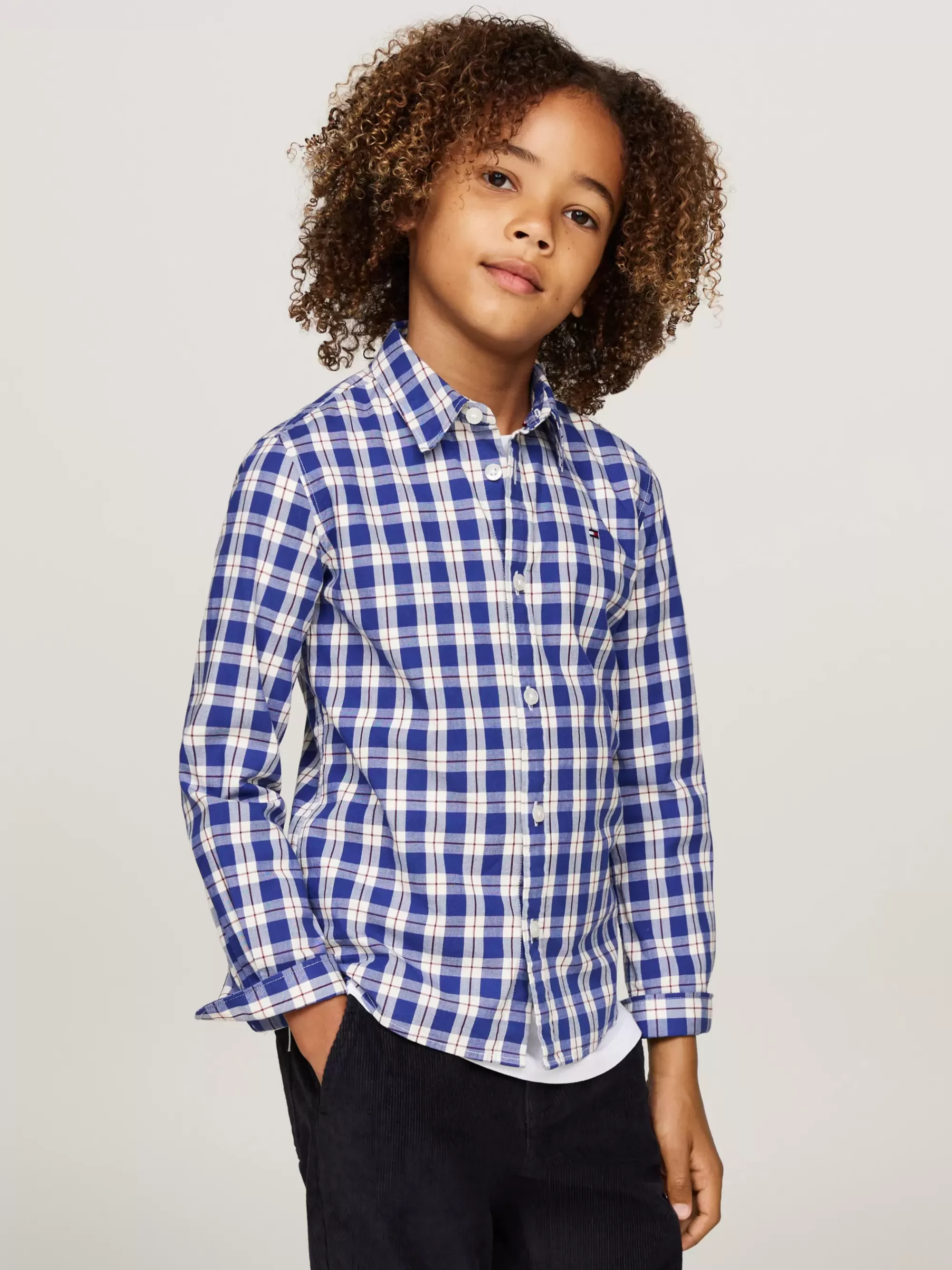 Overhemden*Tommy Hilfiger Regular Fit Overhemd Met Ruit RED BUFFALO CHECK