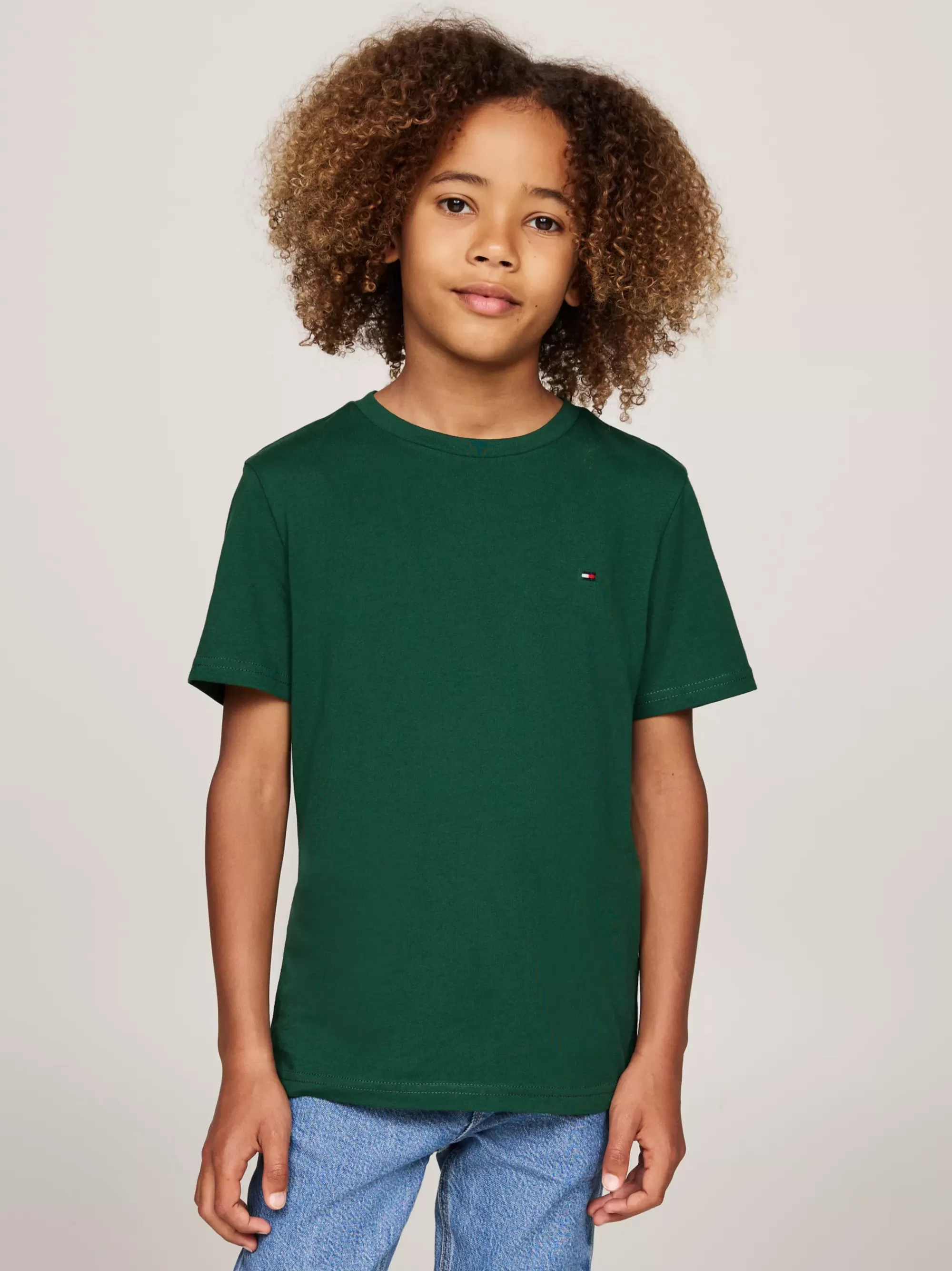 Underwear & Socks*Tommy Hilfiger Set Van 2 T-shirts Met Geborduurde Vlag ORNAMENTAL GREEN/MINTY ESSENCE