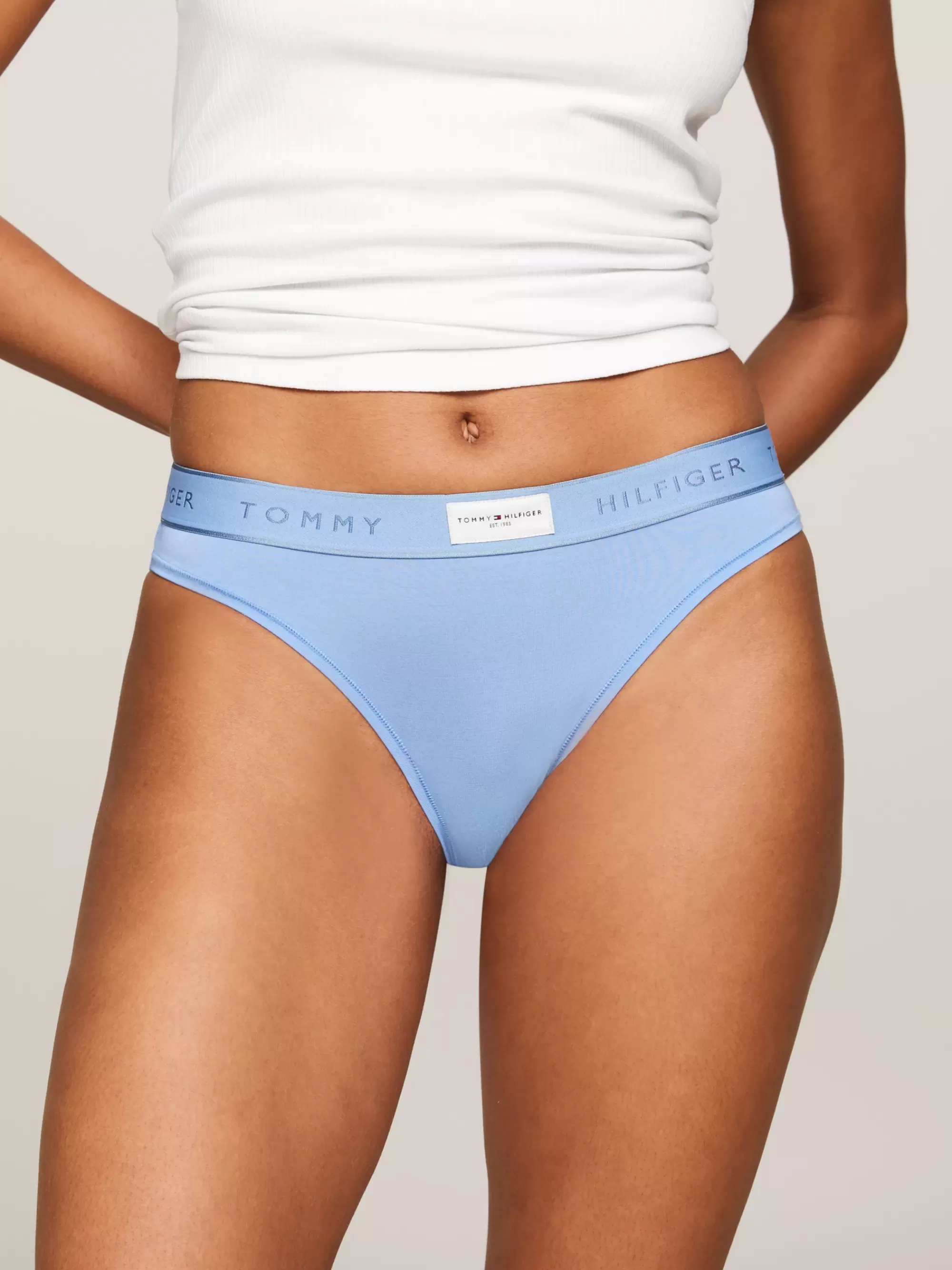 Slips | Lingerie*Tommy Hilfiger TH Established Slip Met Ton-sur-ton Logotaille LIGHT IRIS BLUE