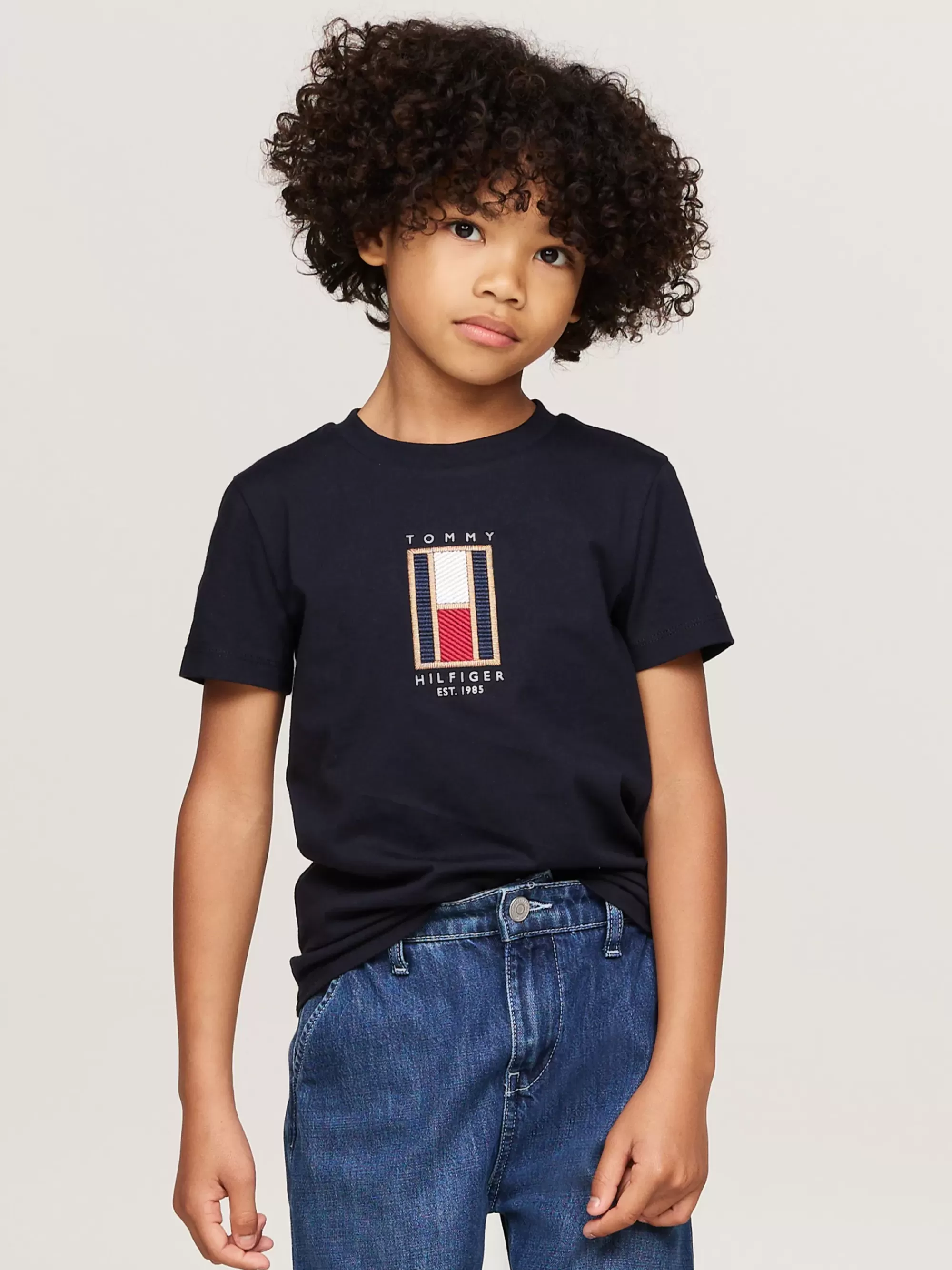 T-Shirts & Polo's*Tommy Hilfiger T-shirt Met Ronde Hals En Verticale Vlag DESERT SKY